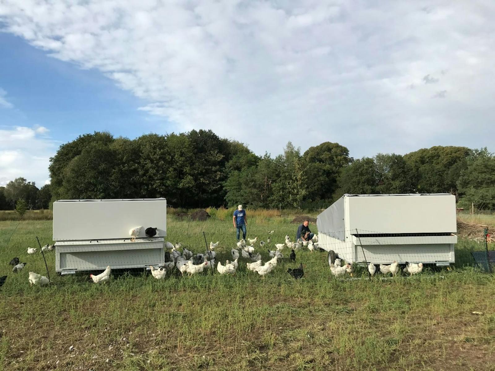 Chicken Mobile (2020-ongoing), Harald den Breejen en Sjoerd van Leeuwen, commissioned by regenerative farm Bodemzicht