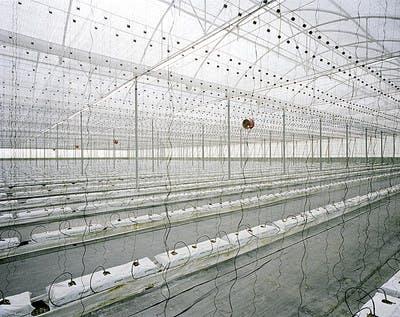 Greenhouse, El Ejido, Spain, 2013 | © Armin Linke